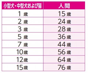 猫、小型犬の平均年齢早見表